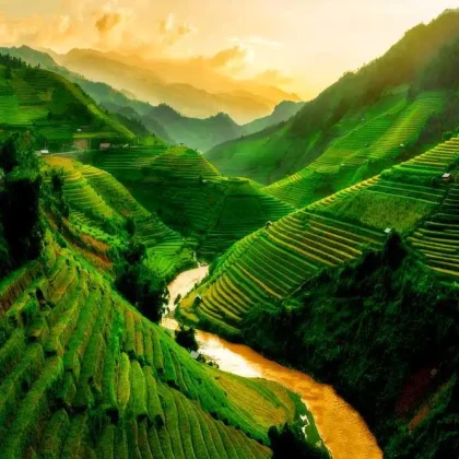 vietnam